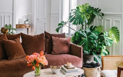 20+ Sofas That Make A Case for Decorating With Jewel Tones