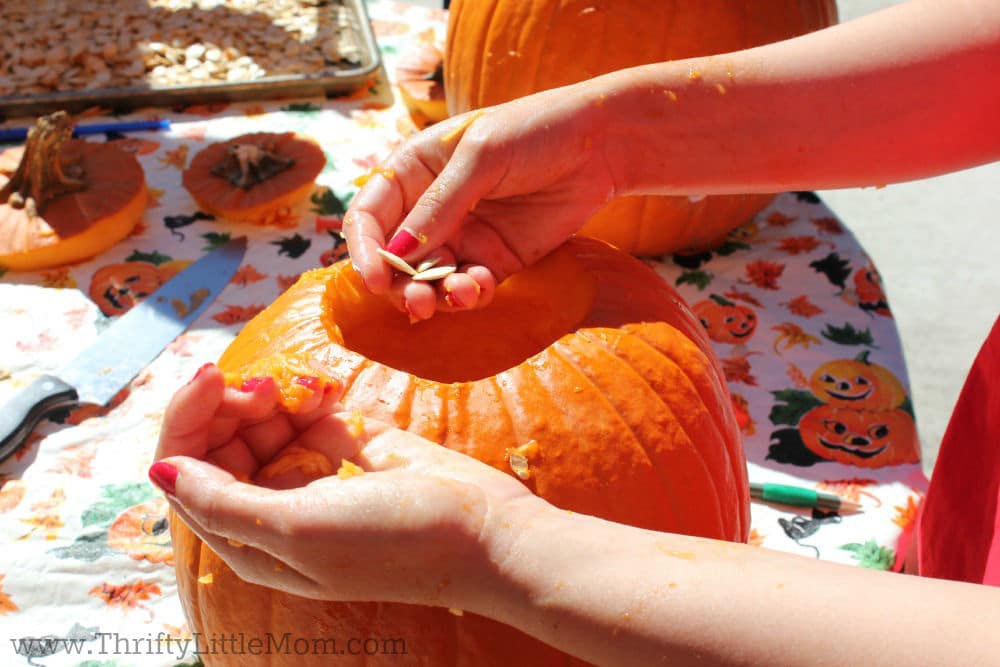 Pumpkin Seeds