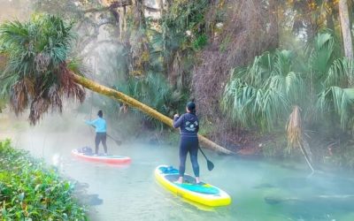 Otter Paddle in Orlando